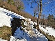 Sulle nevi del Monte Zucco (1232 m ) da S. Antonio Abbandonato (987 m) sui sent. 505-506 il 14 gennaio 2021 - FOTOGALLERY